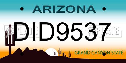 DID9537 Arizona License Plate