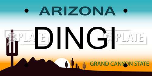 DINGI Arizona License Plate