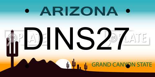 DINS27 Arizona License Plate