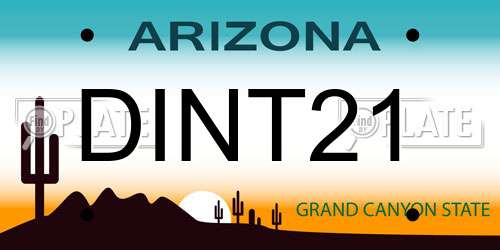 DINT21 Arizona License Plate
