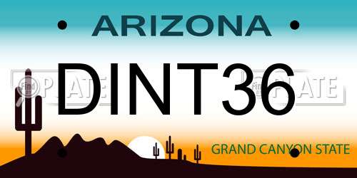 DINT36 Arizona License Plate
