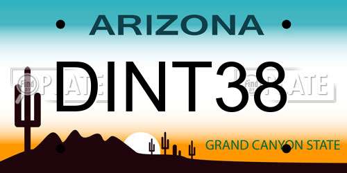 DINT38 Arizona License Plate