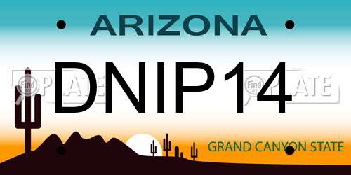 DNIP14 Arizona License Plate