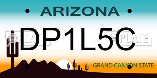 DP1L5C Arizona License Plate