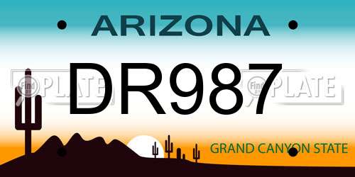 DR987 Arizona License Plate
