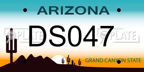DS047 Arizona License Plate