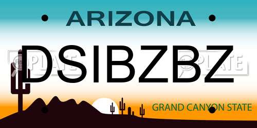 DSIBZBZ Arizona License Plate