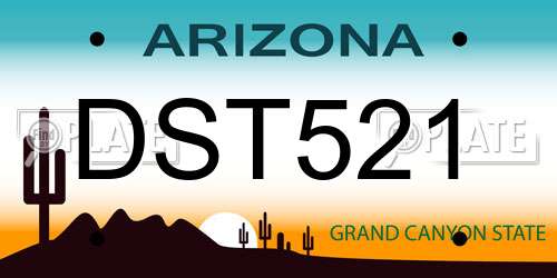 DST521 Arizona License Plate