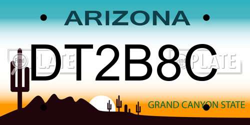 DT2B8C Arizona License Plate