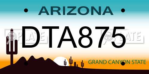 DTA875 Arizona License Plate