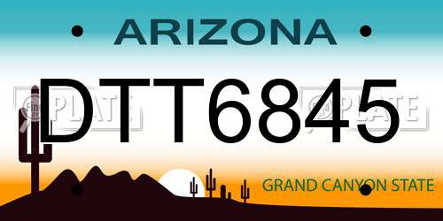 DTT6845 Arizona License Plate