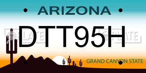 DTT95H Arizona License Plate