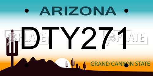 DTY271 Arizona License Plate