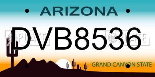 DVB8536 Arizona License Plate