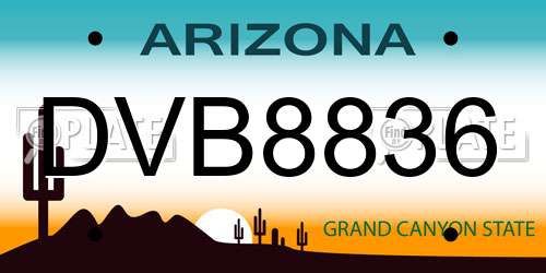 DVB8836 Arizona License Plate