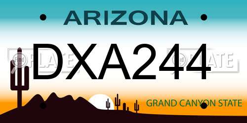 DXA244 Arizona License Plate