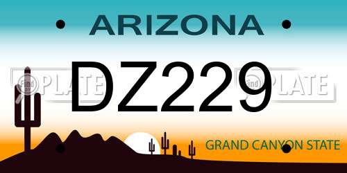 DZ229 Arizona License Plate