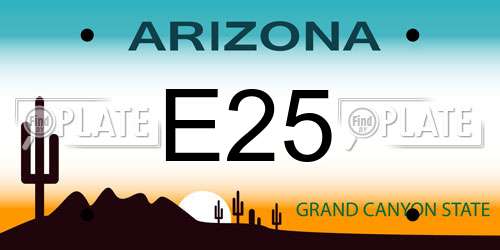 E25 Arizona License Plate