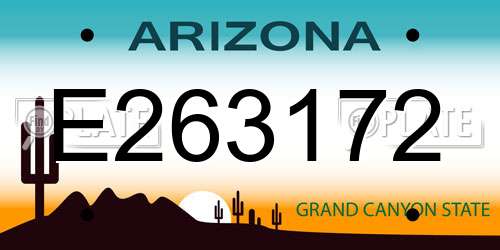 E263172 Arizona License Plate