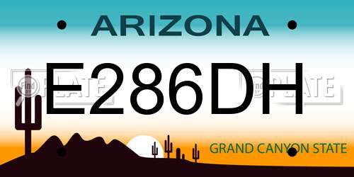 E286DH Arizona License Plate