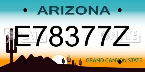 E78377Z Arizona License Plate