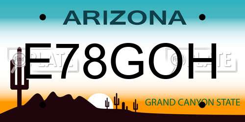 E78GOH Arizona License Plate