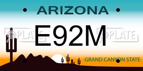 E92M Arizona License Plate