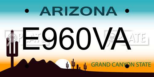 E960VA Arizona License Plate