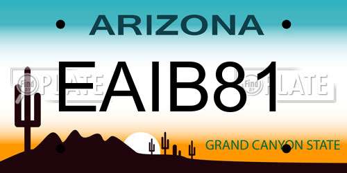 EAIB81 Arizona License Plate