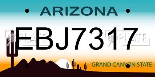 EBJ7317 Arizona License Plate