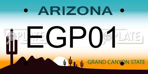 EGP01 Arizona License Plate