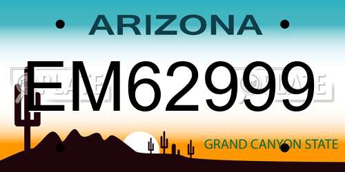 EM62999 Arizona License Plate