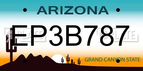 EP3B787 Arizona License Plate
