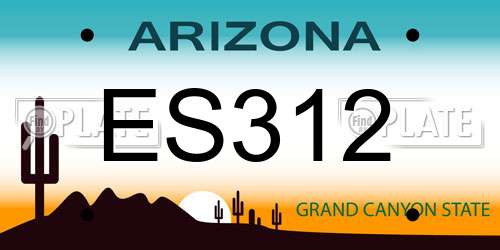 ES312 Arizona License Plate
