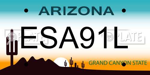 ESA91L Arizona License Plate