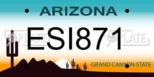 ESI871 Arizona License Plate