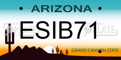 ESIB71 Arizona License Plate