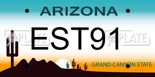 EST91 Arizona License Plate