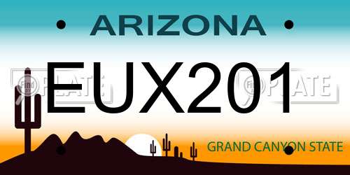 EUX201 Arizona License Plate