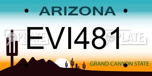 EVI481 Arizona License Plate