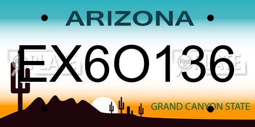 EX6O136 Arizona License Plate