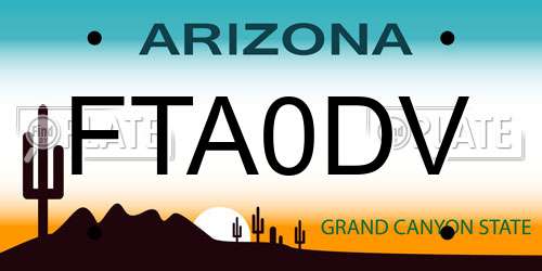 FTA0DV Arizona License Plate