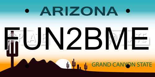 FUN2BME Arizona License Plate