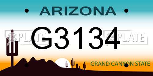 G3134 Arizona License Plate