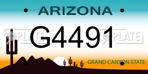 G4491 Arizona License Plate