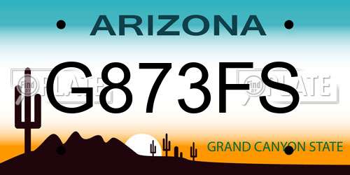 G873FS Arizona License Plate