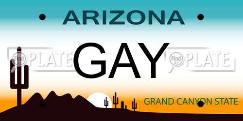 GAY Arizona License Plate