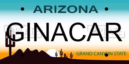 GINACAR Arizona License Plate