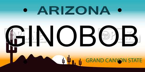 GINOBOB Arizona License Plate