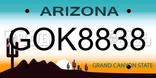 GOK8838 Arizona License Plate